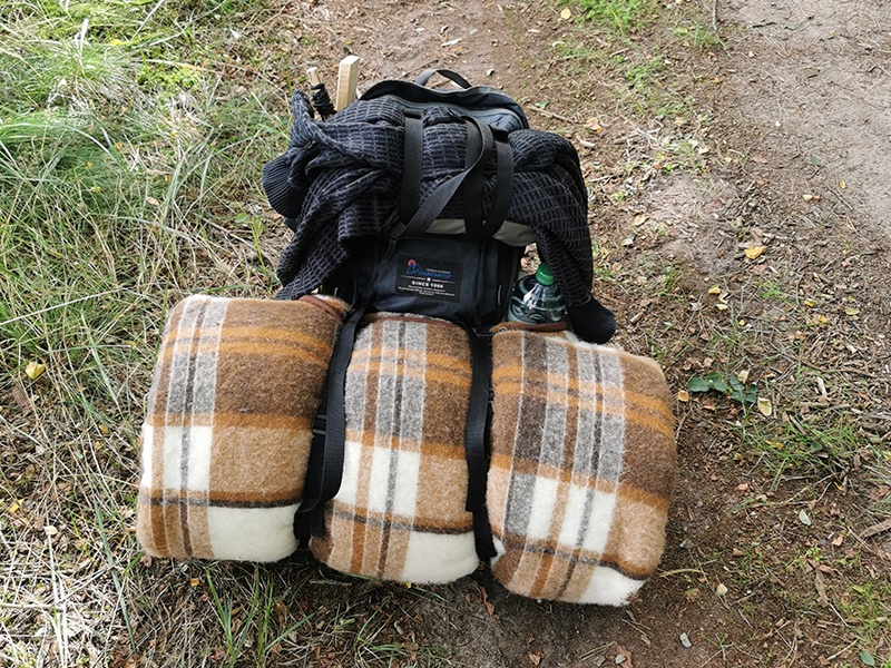 OUT.VIVA aus Rostock