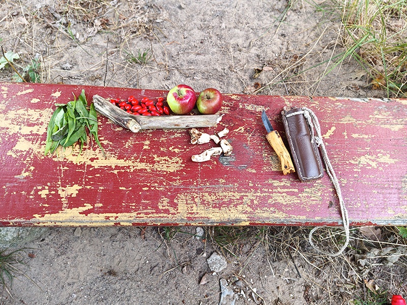 OUT.VIVA aus Rostock