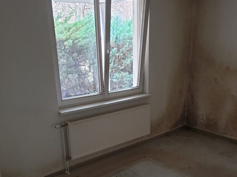 Chrischan's Hausmeisterservice aus Rostock