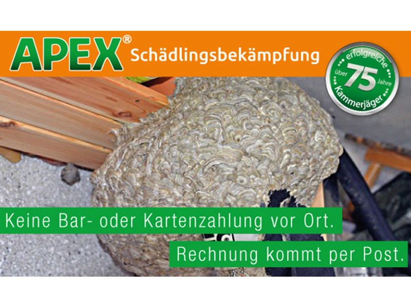 APEX Schädlingsbekämpfung aus Köln
