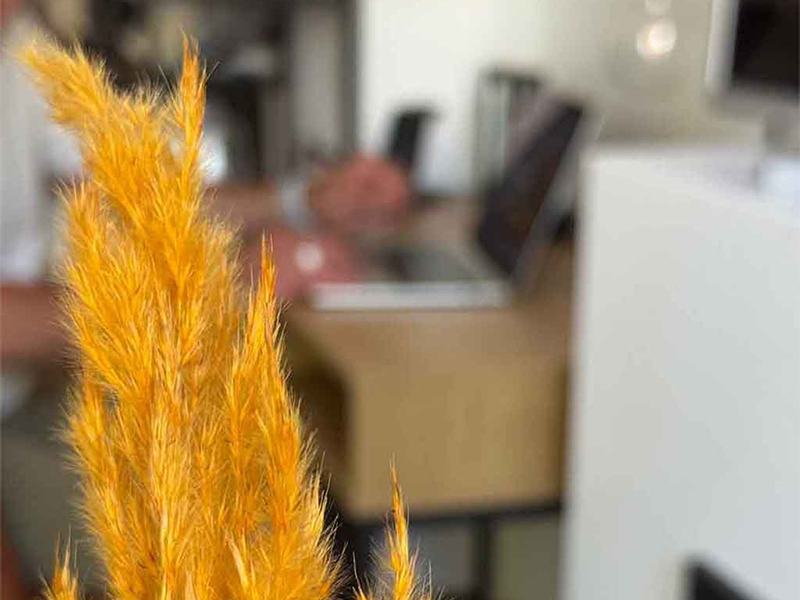 SEO Navigator Rostock aus Rostock