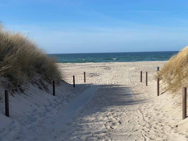 SEO Navigator Rostock aus Rostock