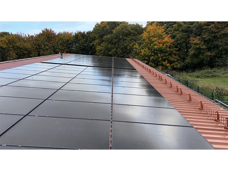 fri GmbH & Co. KG aus Schwerin