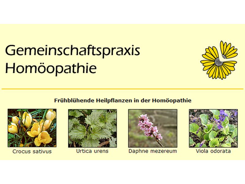 Dr. med. Svenja Nitsche aus Schwerin