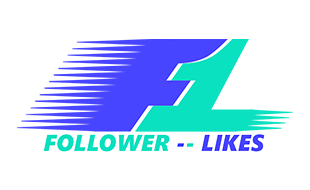 Follower-Likes Social Media Agentur in Neubrandenburg - Logo