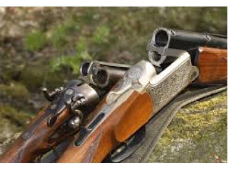 Rund um die Jagd aus Neubrandenburg