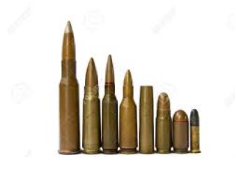 Rund um die Jagd aus Neubrandenburg