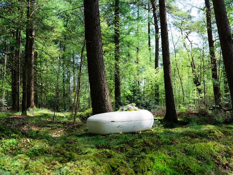 Uckermark Bestattungsinstitut aus Penkun Uckermark Bestattungsinstitut aus Penkun