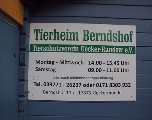 Sabine Schultz aus Ueckermünde Sabine Schultz aus Ueckermünde