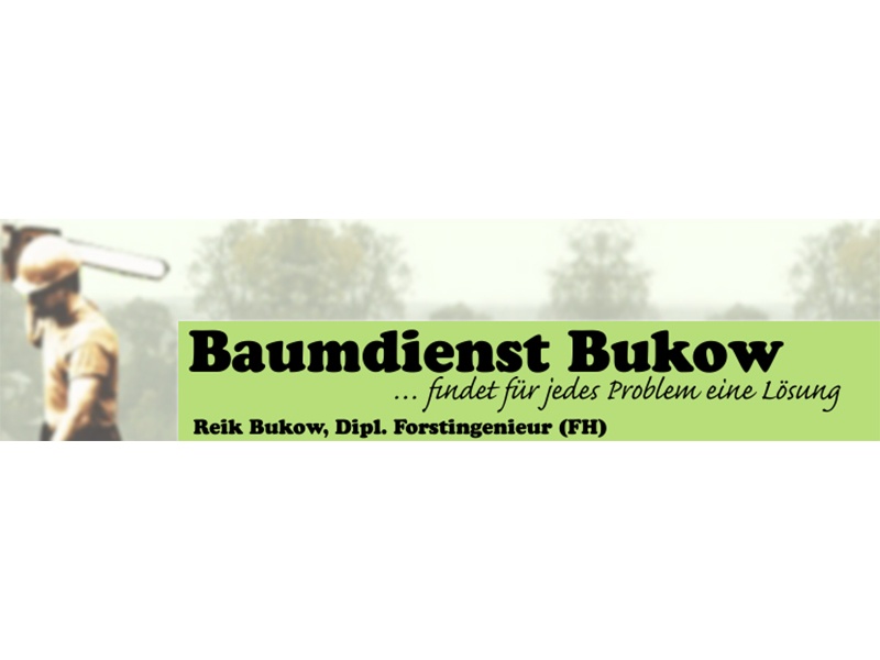 Baumdienst Bukow aus Neustrelitz
