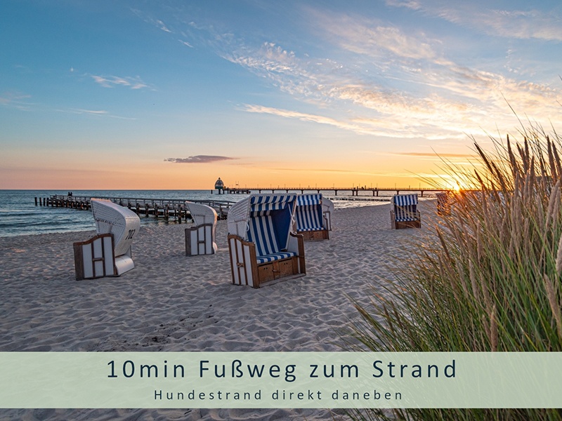 Ferienhaus Herzmuschel Zingst aus Zingst Ferienhaus Herzmuschel Zingst aus Zingst