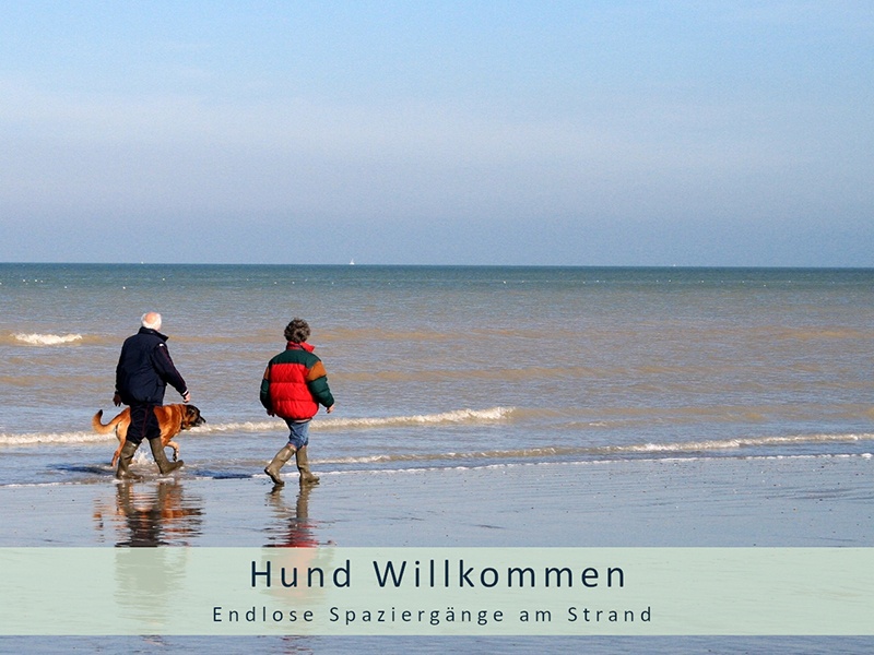 Ferienhaus Herzmuschel Zingst aus Zingst Ferienhaus Herzmuschel Zingst aus Zingst