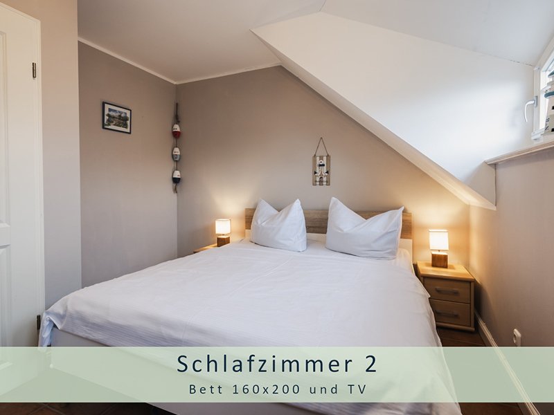 Ferienhaus Herzmuschel Zingst aus Zingst Ferienhaus Herzmuschel Zingst aus Zingst