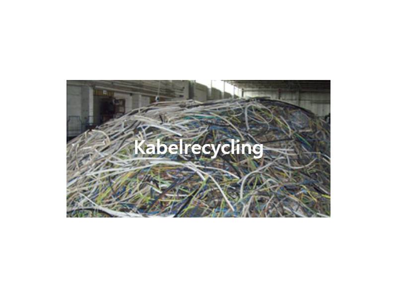 Alexander Raesch aus Stralsund