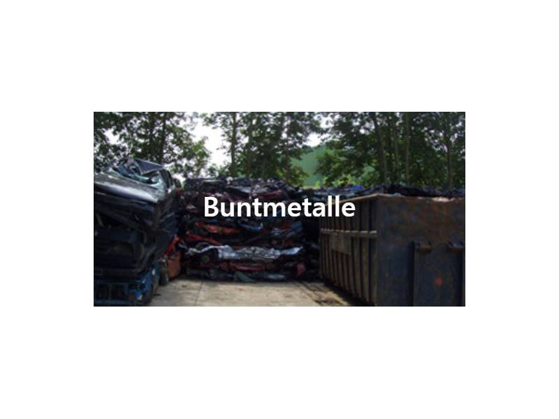 Alexander Raesch aus Stralsund