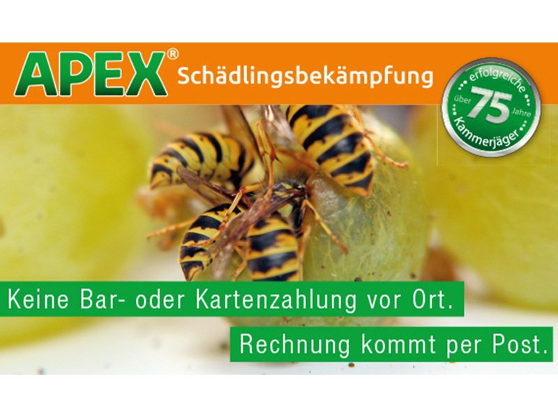 APEX Schädlingsbekämpfung aus Köln