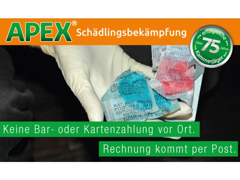 APEX Schädlingsbekämpfung aus Köln