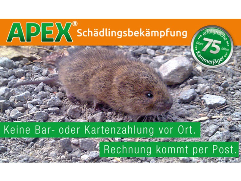 APEX Schädlingsbekämpfung aus Köln APEX Schädlingsbekämpfung aus Köln