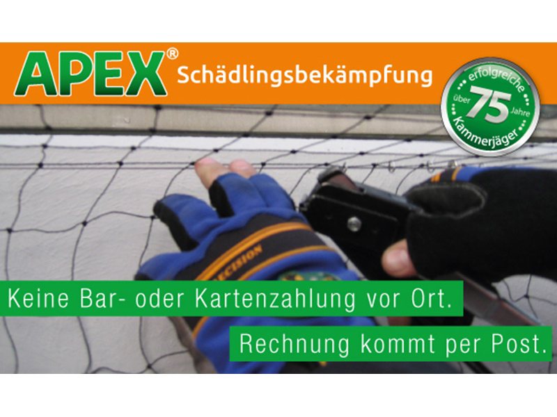 APEX Schädlingsbekämpfung aus Köln APEX Schädlingsbekämpfung aus Köln