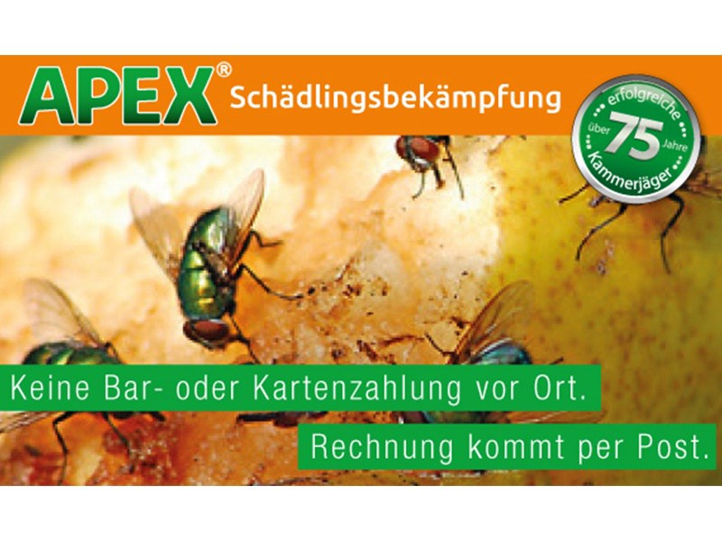APEX Schädlingsbekämpfung aus Köln APEX Schädlingsbekämpfung aus Köln