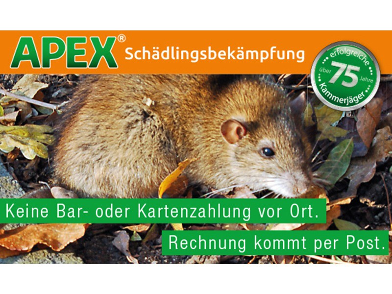 APEX Schädlingsbekämpfung aus Köln APEX Schädlingsbekämpfung aus Köln