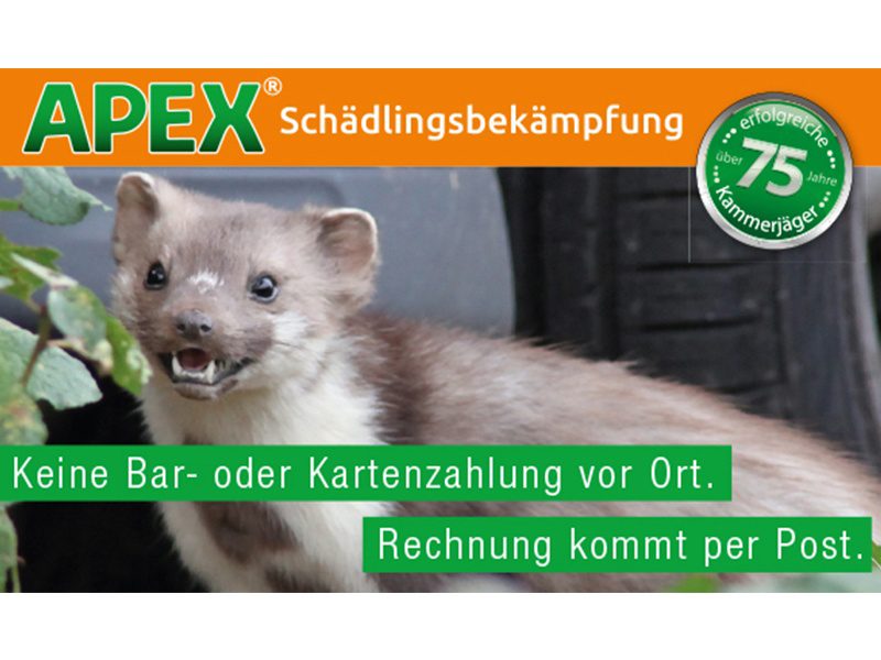 APEX Schädlingsbekämpfung aus Köln APEX Schädlingsbekämpfung aus Köln