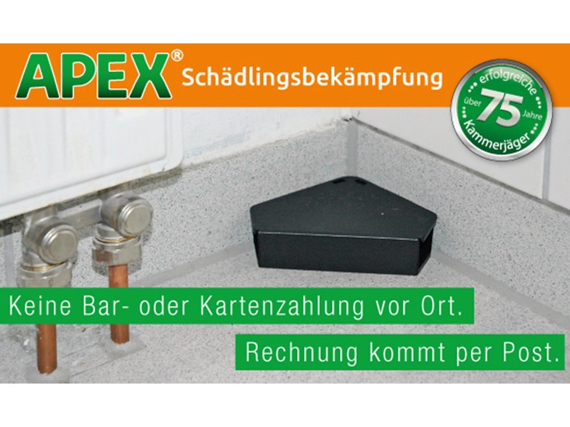 APEX Schädlingsbekämpfung aus Köln APEX Schädlingsbekämpfung aus Köln