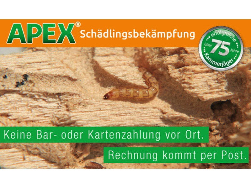 APEX Schädlingsbekämpfung aus Köln APEX Schädlingsbekämpfung aus Köln