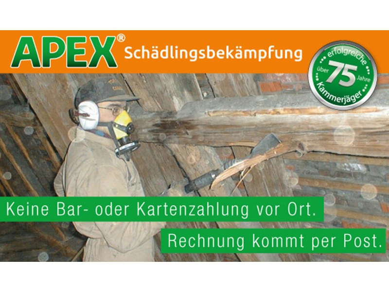 APEX Schädlingsbekämpfung aus Köln APEX Schädlingsbekämpfung aus Köln