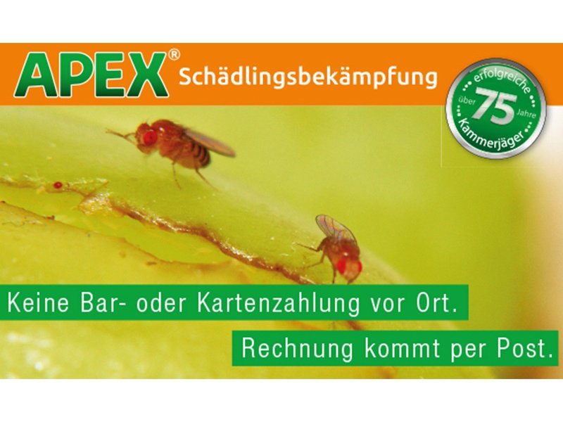 APEX Schädlingsbekämpfung aus Köln APEX Schädlingsbekämpfung aus Köln