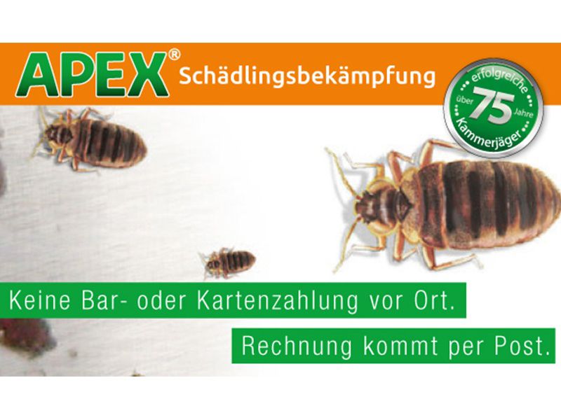 APEX Schädlingsbekämpfung aus Köln APEX Schädlingsbekämpfung aus Köln