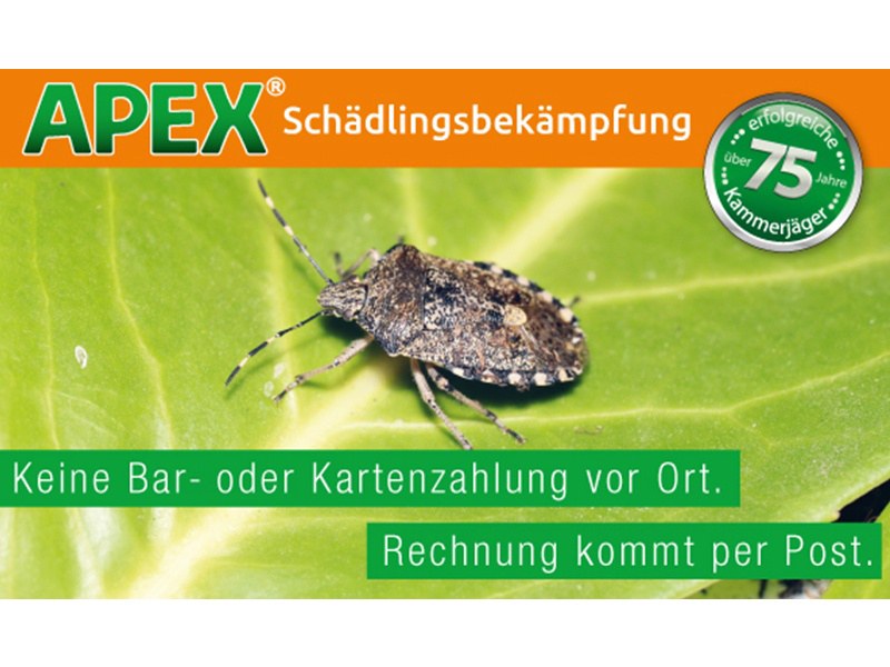 APEX Schädlingsbekämpfung aus Köln