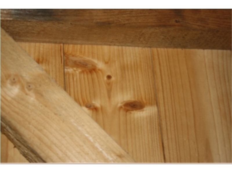Glas & Holzservice Kuhl aus Züssow
