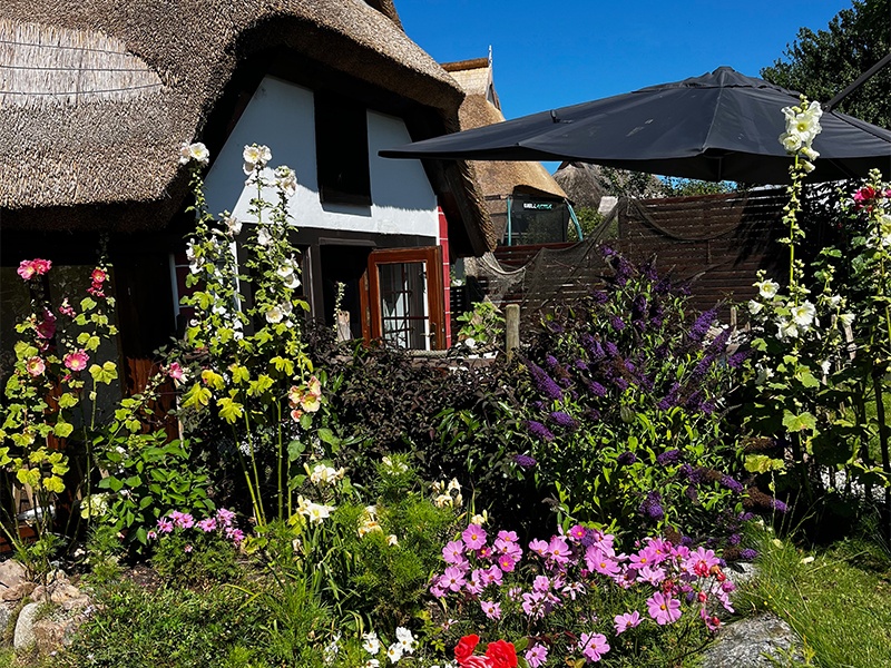 Ferienhaus an der Ostsee aus Putgarten Ferienhaus an der Ostsee aus Putgarten
