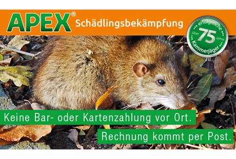 APEX Schädlingsbekämpfung aus Castrop-Rauxel
