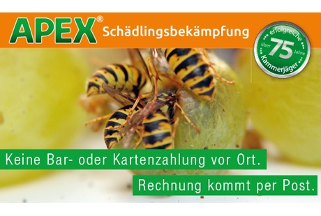 APEX Schädlingsbekämpfung aus Dorsten