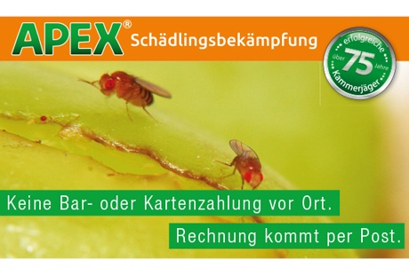 APEX Schädlingsbekämpfung aus Dorsten