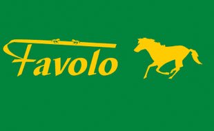 Favolo Horse and Life Store in Bochum - Logo