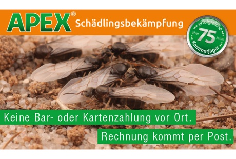 APEX Schädlingsbekämpfung aus Bottrop