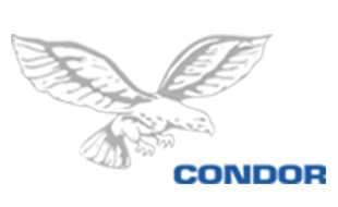 CONDOR Schutz- und Sicherheitsdienst GmbH in Essen - Logo