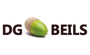 DG Beils GmbH in Essen - Logo