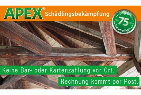 APEX Schädlingsbekämpfung aus Plettenberg